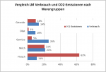 Vergleich LM Verbrauch und CO2-Emissionen nach Warengruppen